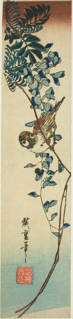 Sparv och blåregn av Utagawa Hiroshige
