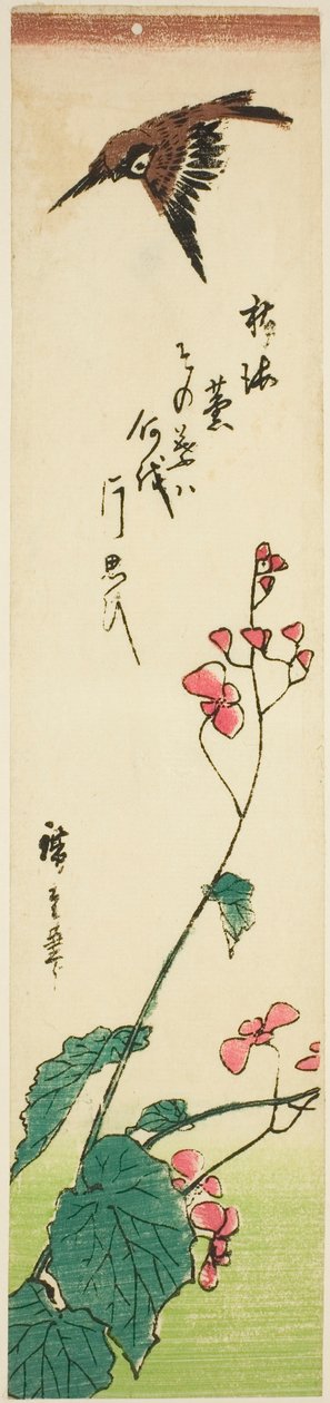 Sparv som flyger över begonia av Utagawa Hiroshige