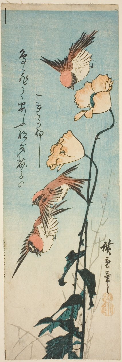Sparvar och vallmo av Utagawa Hiroshige