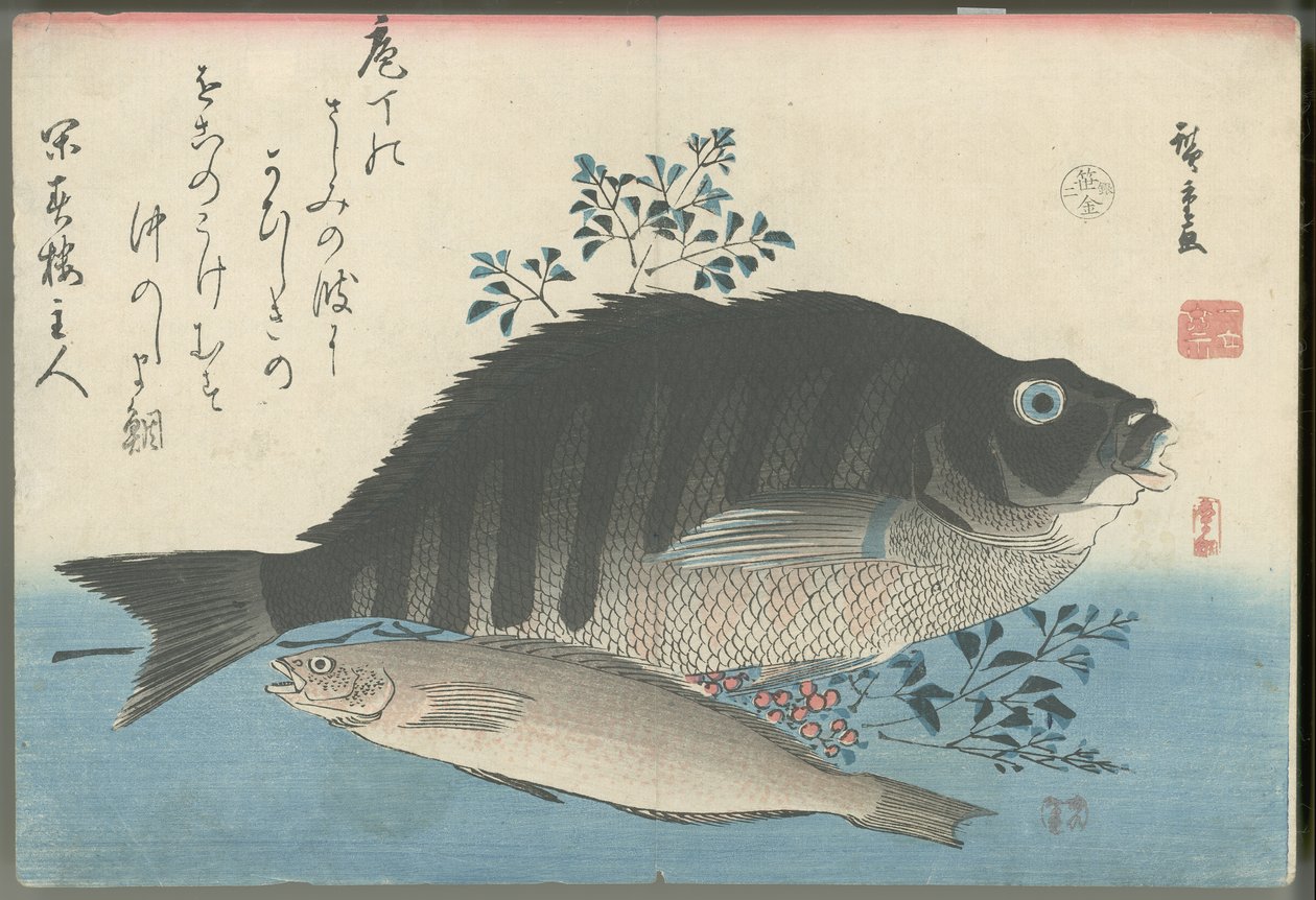 Randig havsbraxen, klippöring och nandina av Utagawa Hiroshige