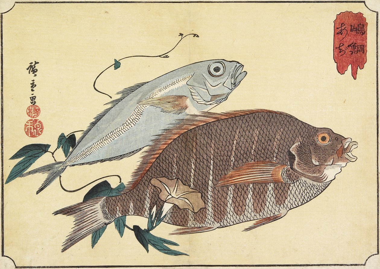Randig Snapper och Hästmakrill, tidigt 1800-tal av Utagawa Hiroshige