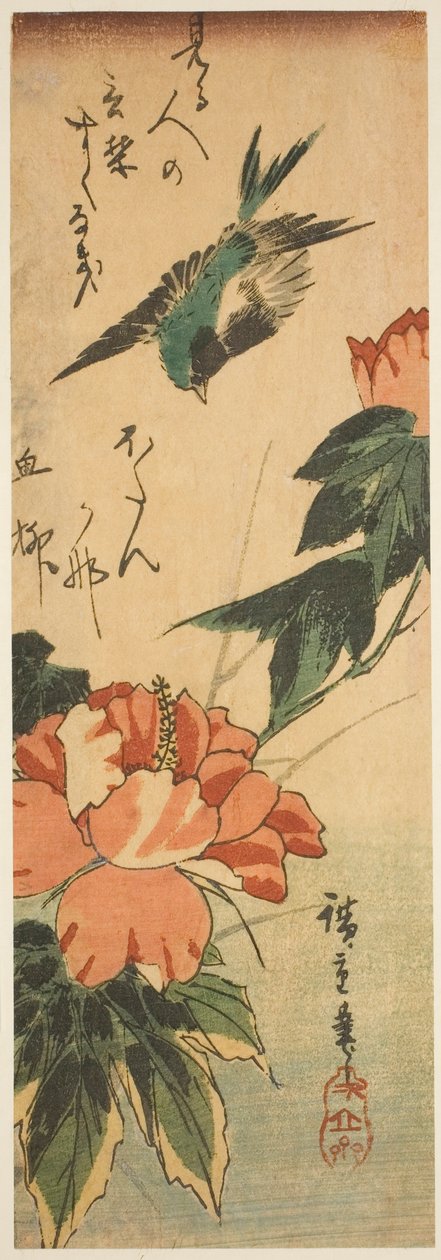 Svälja och hibiskus av Utagawa Hiroshige