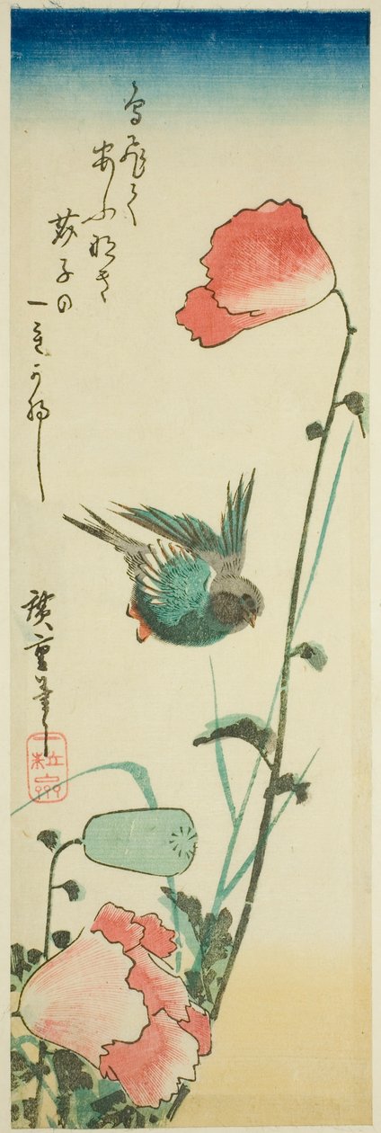 Svala och vallmo av Utagawa Hiroshige