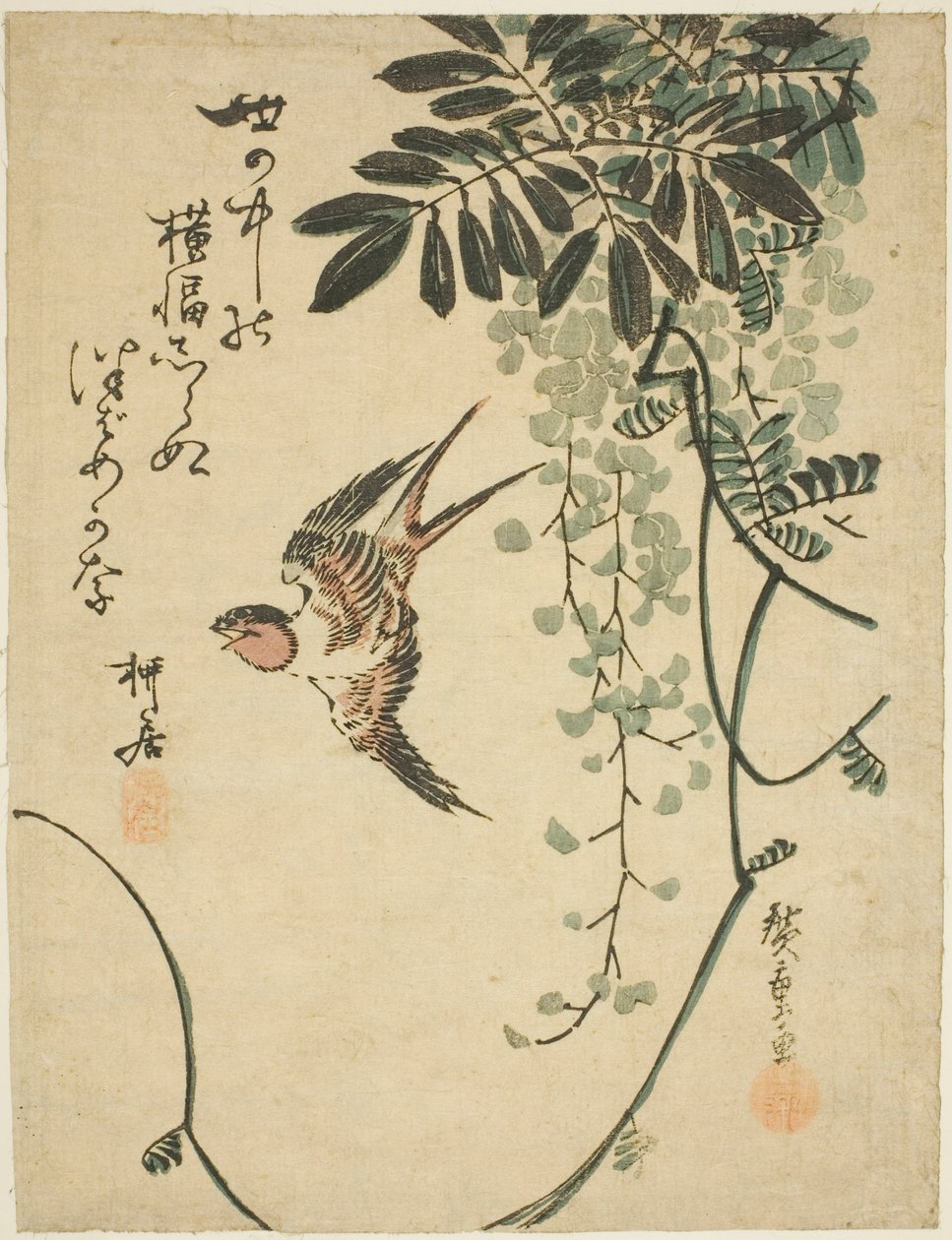 Svala och blåregn av Utagawa Hiroshige