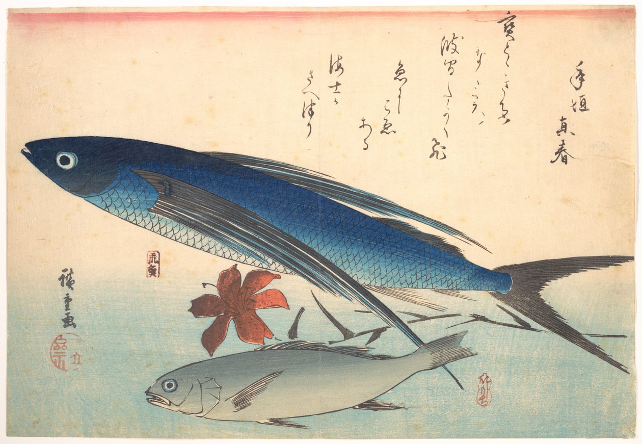 Tobiuo- och ishimotchi-fiskar, ur serien Uozukushi (Alla sorters fisk) av Utagawa Hiroshige