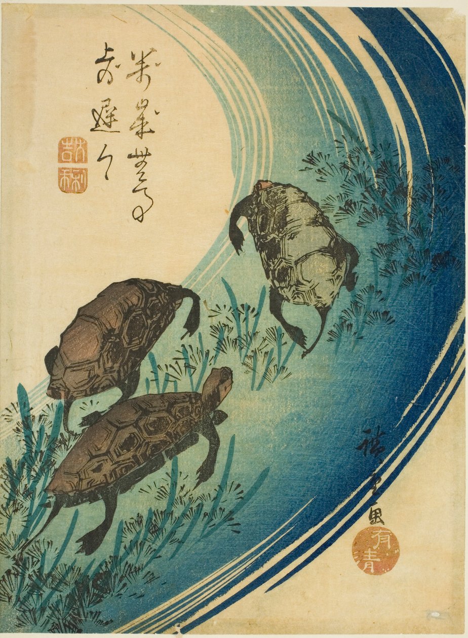 Sköldpaddor simmar i en bäck av Utagawa Hiroshige