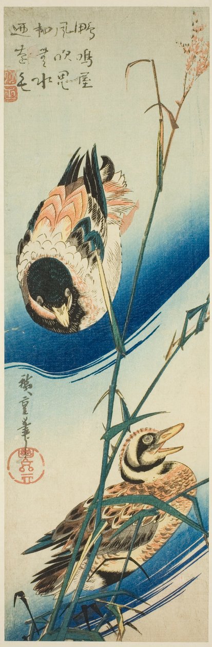 Två ankor som simmar bland vass av Utagawa Hiroshige
