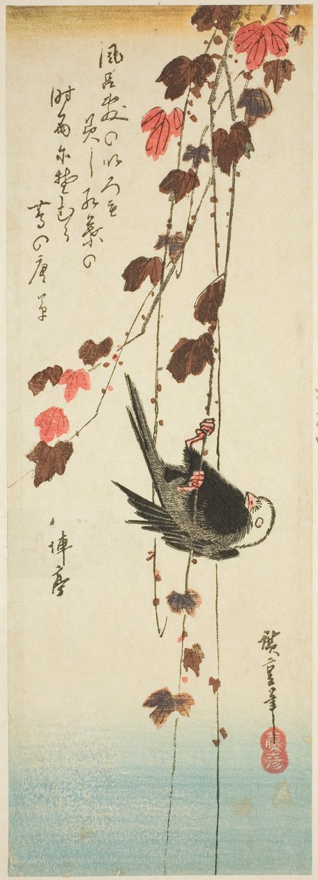 Vithövdad fågel och murgröna av Utagawa Hiroshige