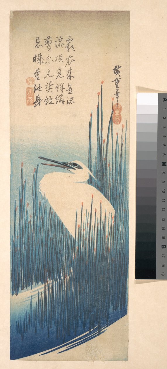 Weißer Reiher zwischen Schilf av Utagawa Hiroshige