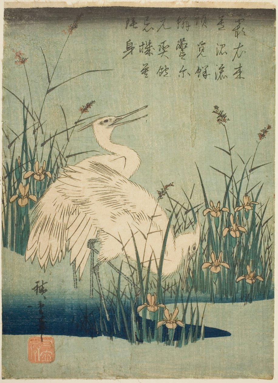 Vita hägrar och iris av Utagawa Hiroshige