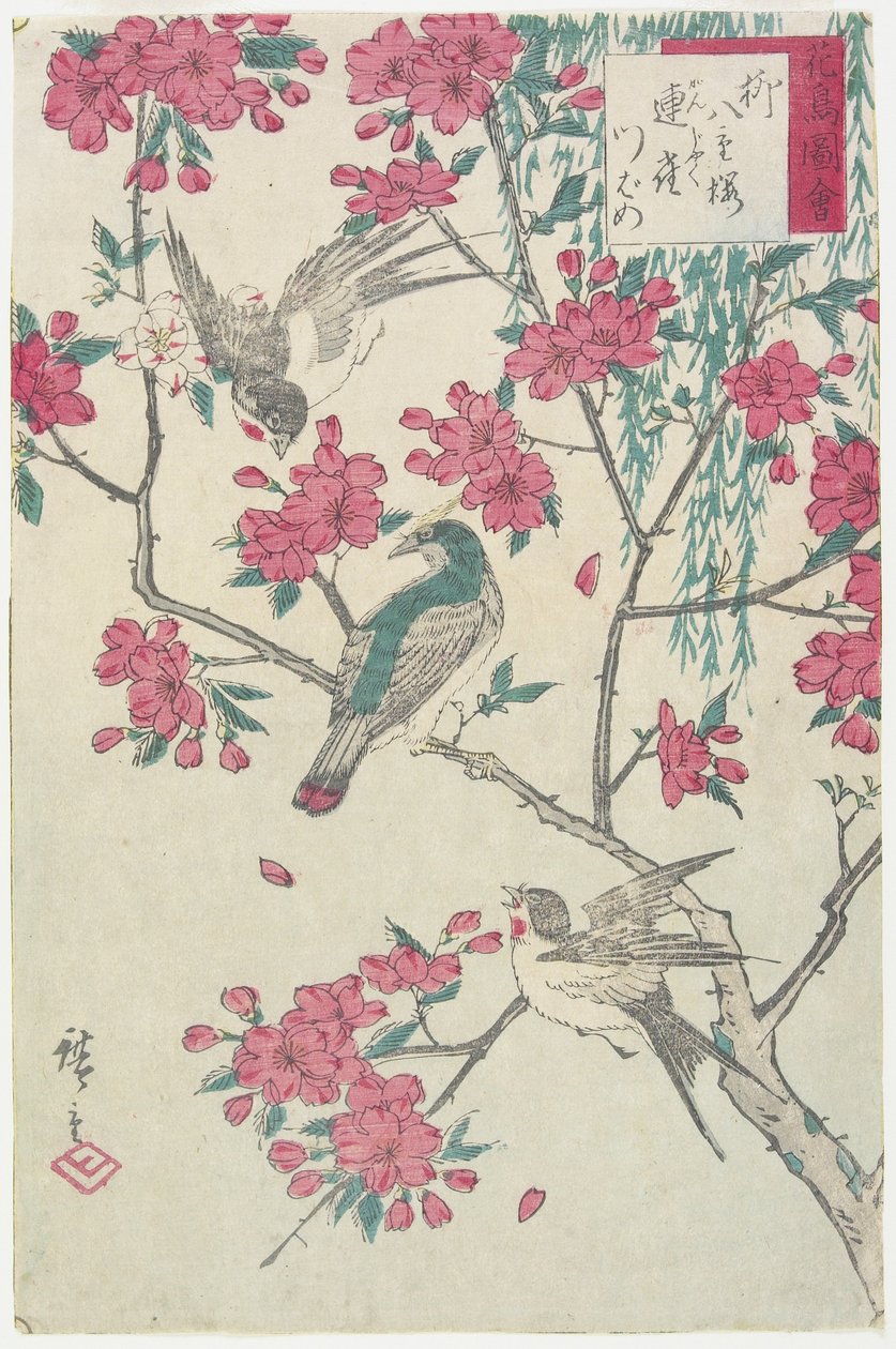 Pil, körsbärsblommor, sparvar och svala, tidigt 1800-tal av Utagawa Hiroshige