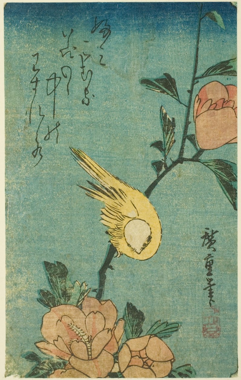 Gul fågel och hibiskus av Utagawa Hiroshige