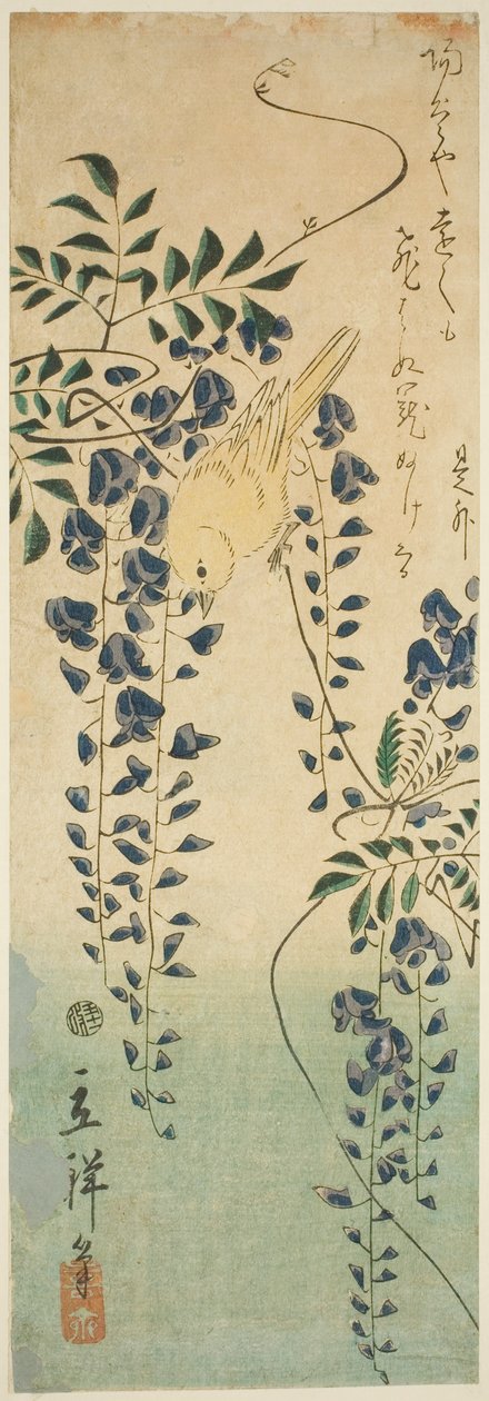 Kanarie och blåregn av Utagawa Hiroshige II