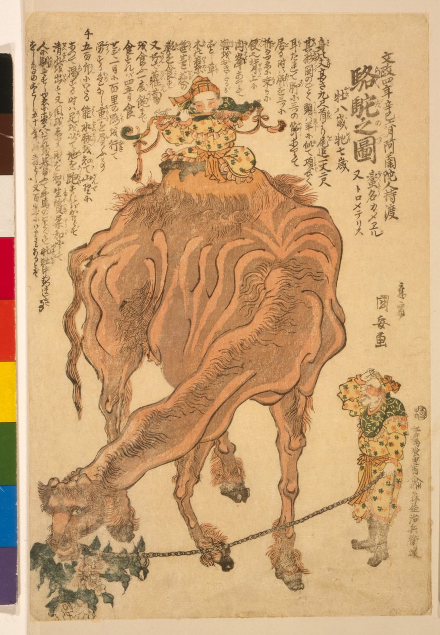 En kamel, pub. 1824 (handfärgat träsnitt) av Utagawa Kuniyasu