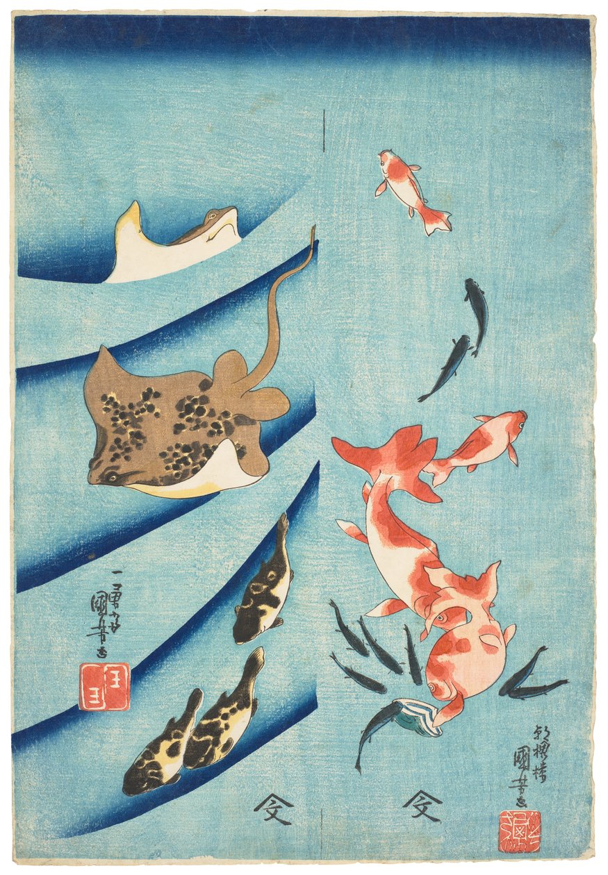 Guldfisk, killifisk, stingrocka och blåsfisk, ca 1837 (träsnitt) av Utagawa Kuniyoshi