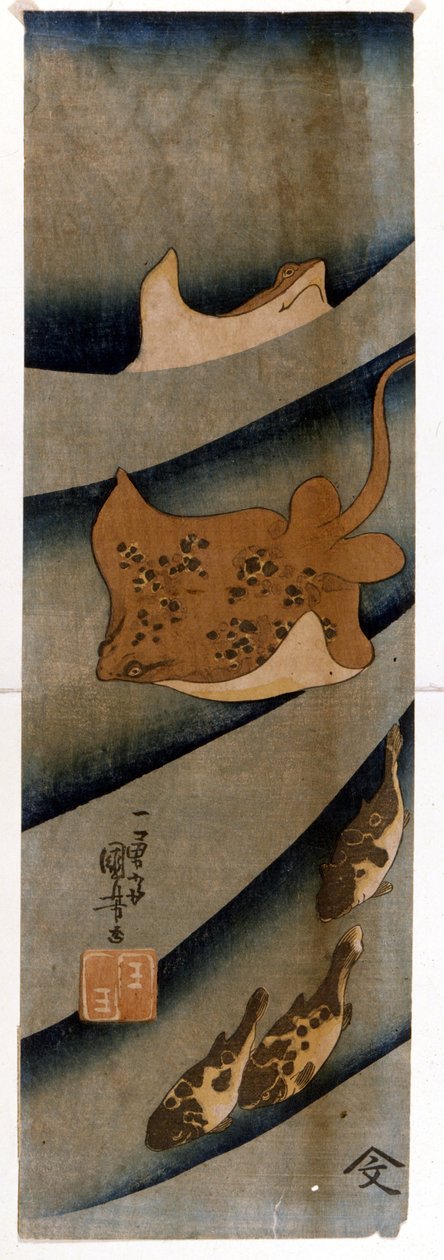 Tryck av Utagawa KUNIYOSHI (1797-1861) föreställande fisken. av Utagawa Kuniyoshi