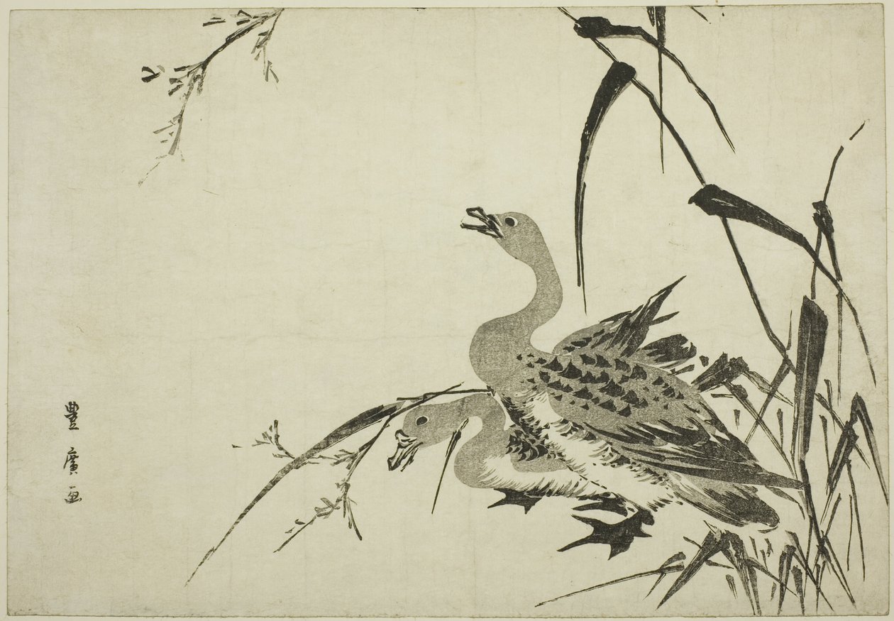 Vilda gäss och vass av Utagawa Toyohiro