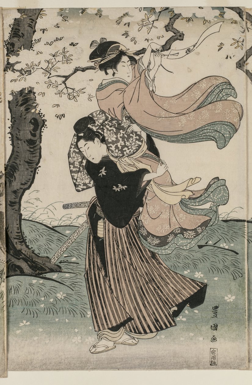 Körsbärsblommor i vinden av Utagawa Toyokuni