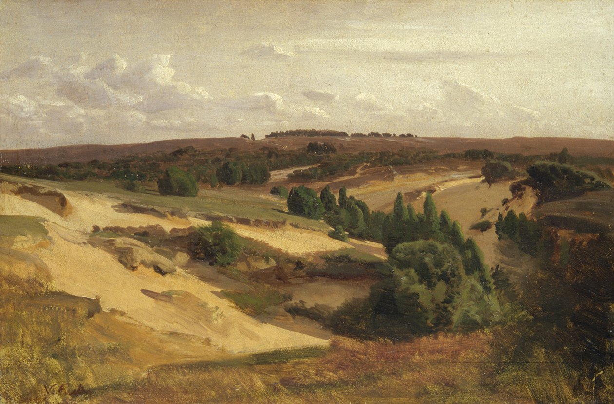 Heden nära Bispingen, 1887 (olja på papper på duk) av Valentin Ruths