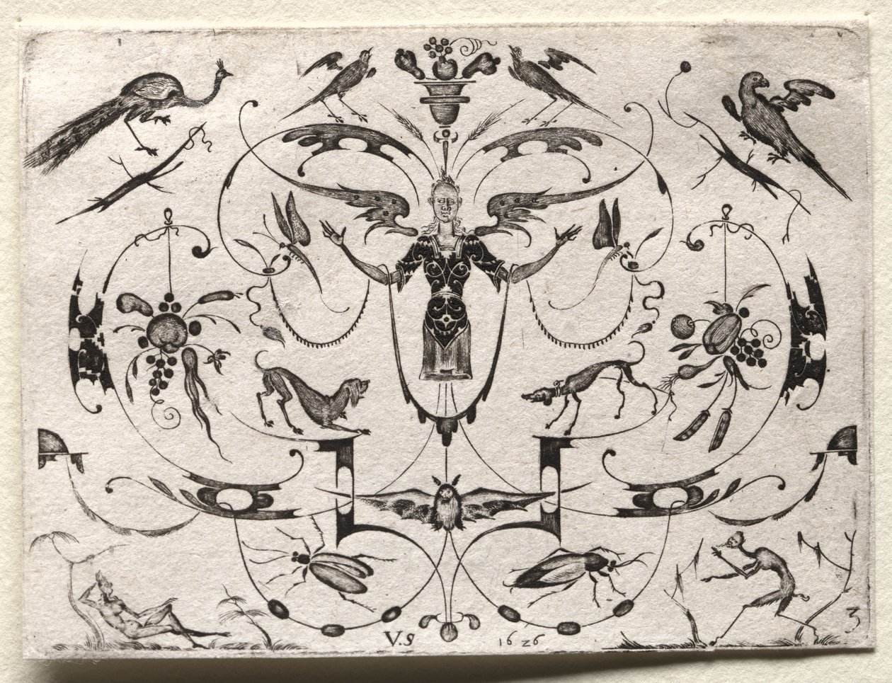 Arabesque med påfågel, parakit, hundar och insekter av Valentin Sezenius