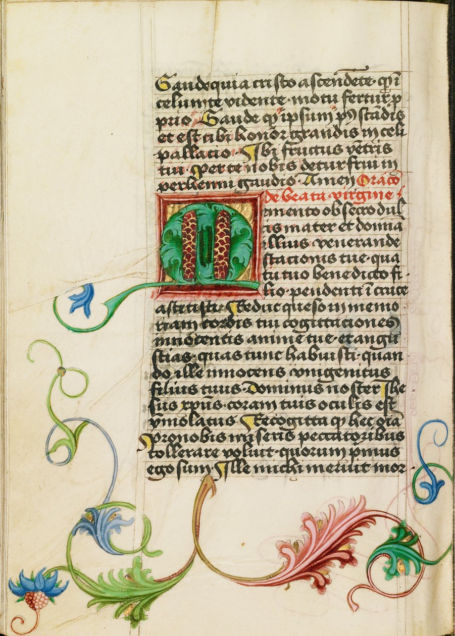 Dekorerad initial M av Valentine Noh