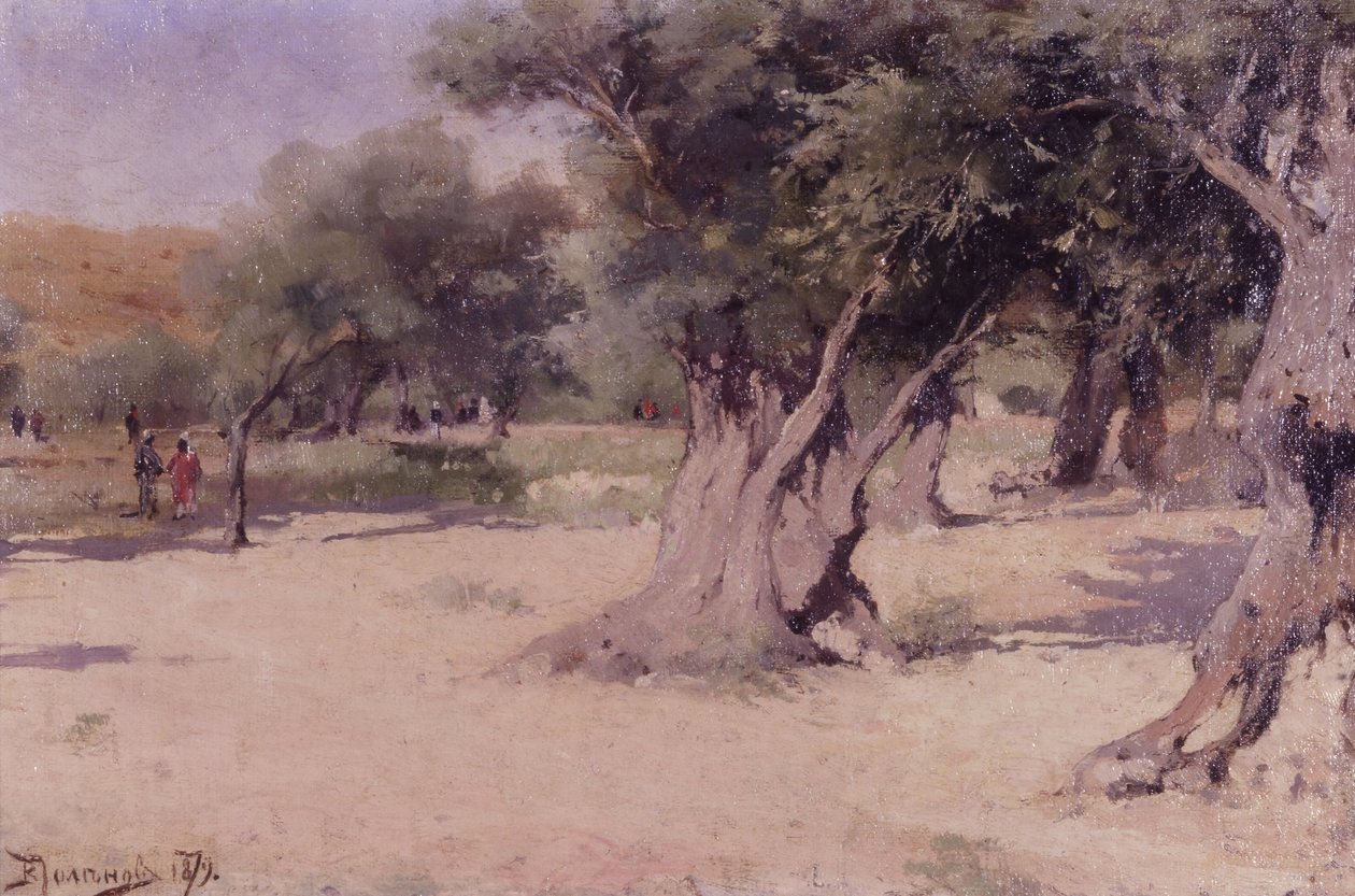 Olive Trees in the Holy Land av Vasilij Dmitrievich Polenov