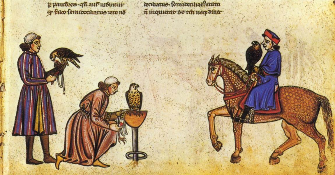 Falconry Book of Frederick II av Vatican Library