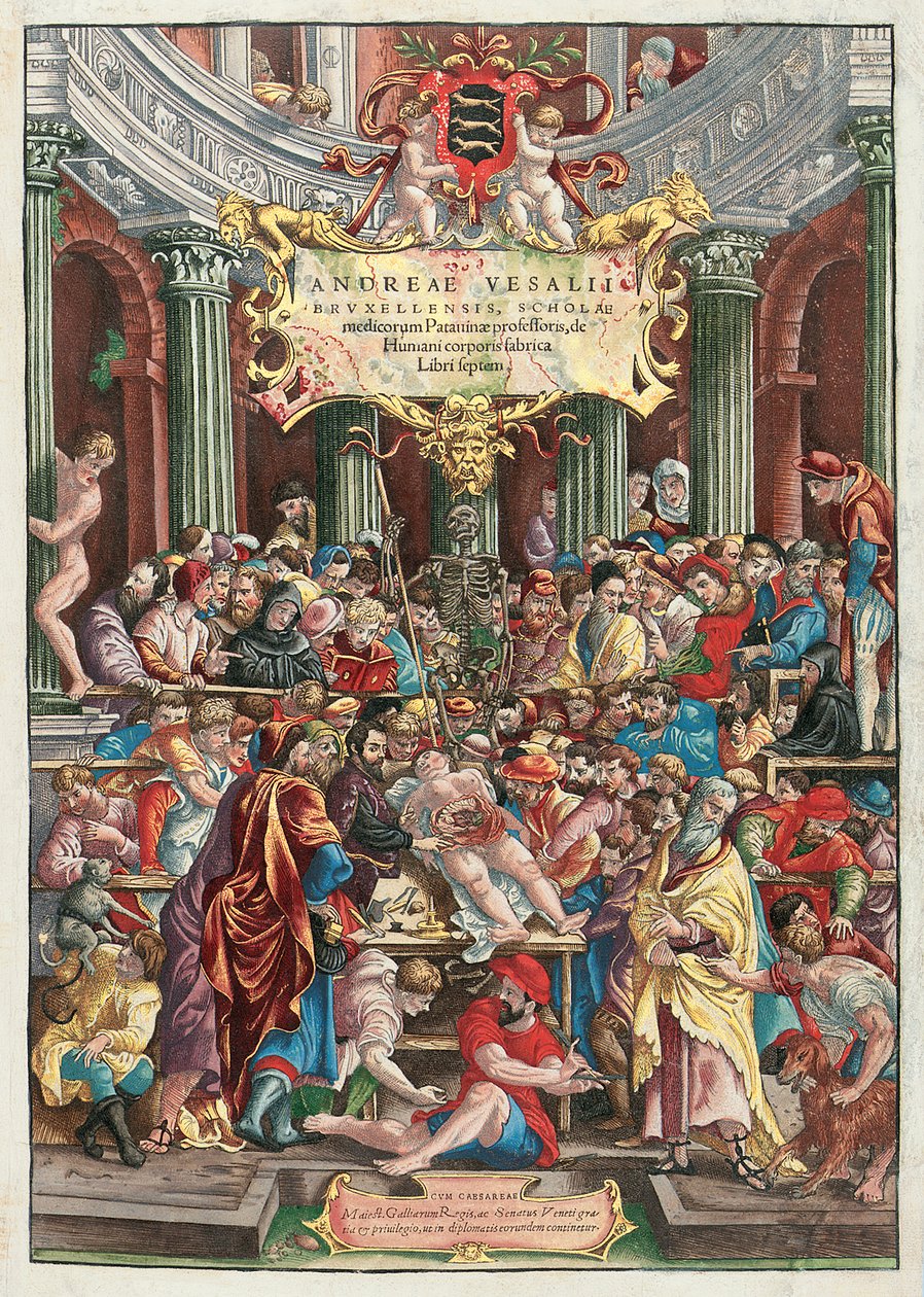 Frontispice till De Humani Corporis Fabrica Libri Septem av Andreas Vesalius (1514-64), utgiven av Johannes Oporinus, Basel, juni 1543 (träsnitt i färg) (se även 233019) av Venetian School