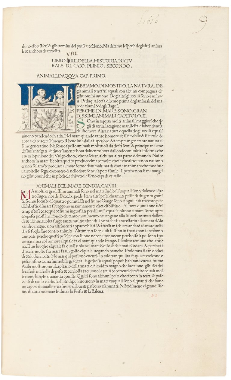 "Historia Naturalis" av Plinius den äldre av Venetian School