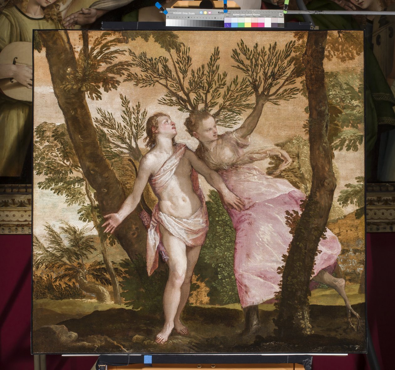 Apollo och Daphne, ca 1560-65 av Paolo Veronese