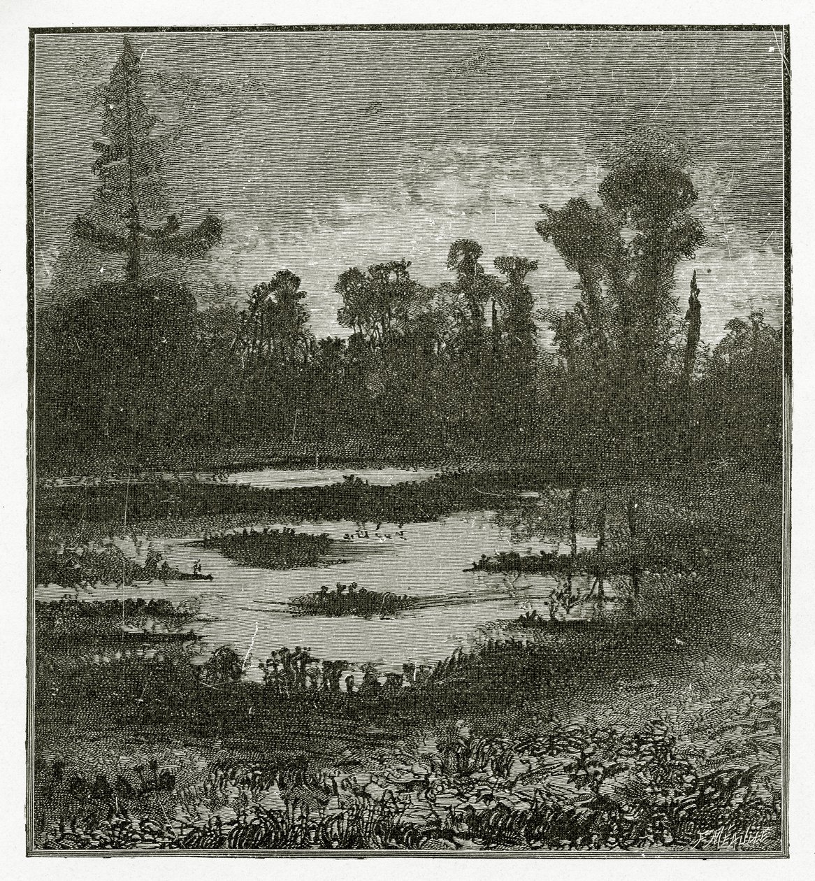Les Chants du Crépuscule, 1800-talet (bw gravyr) av Victor Hugo