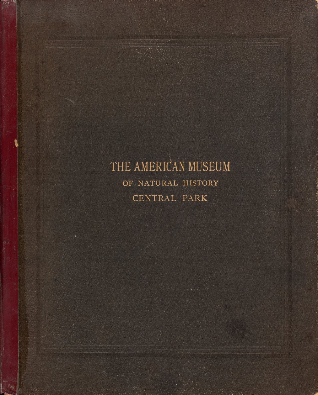 Det fotografiska albumet från American Museum of Natural History, Central Park, New York City av Victor Prevost, Gaston L. Feuardent and Co., New York