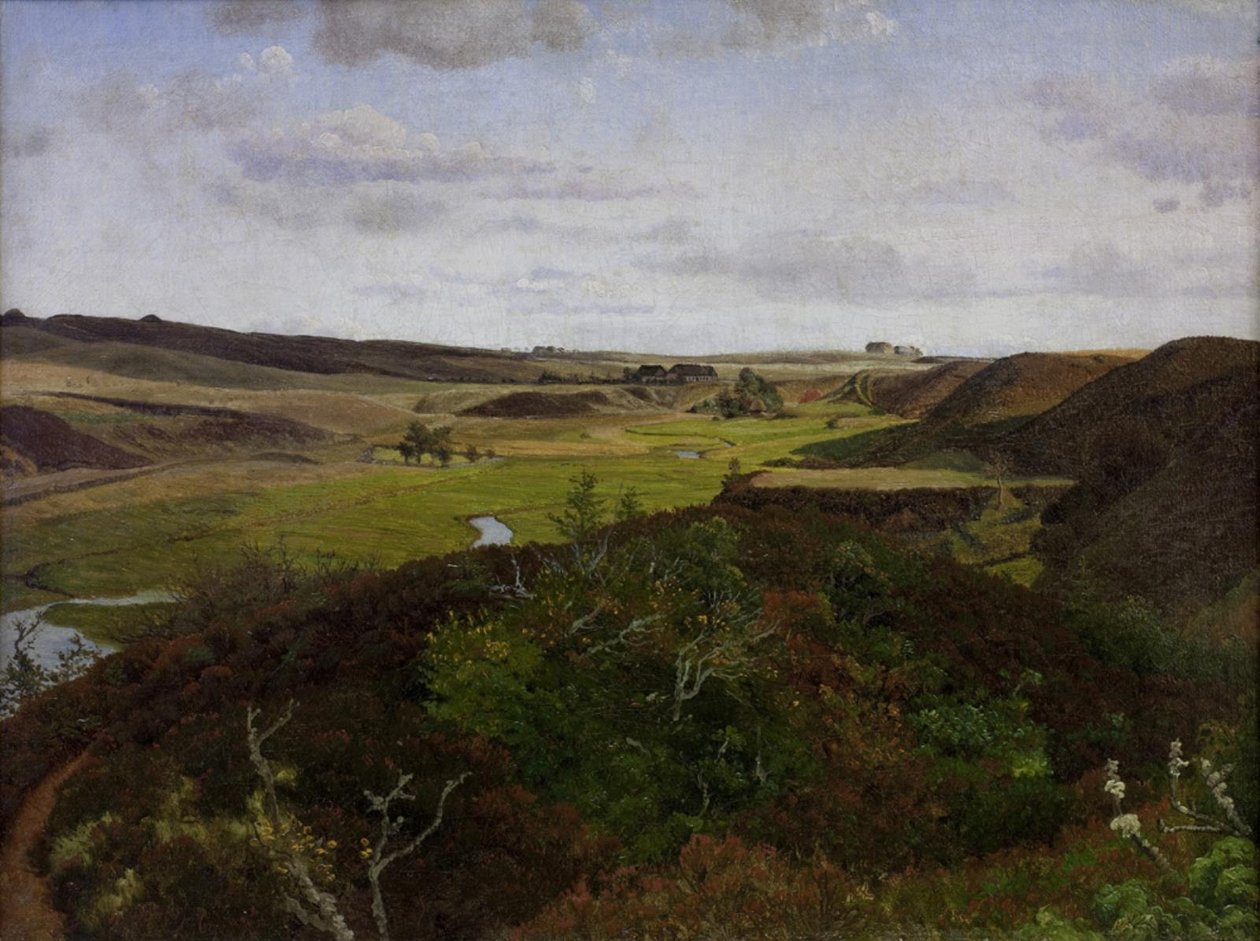 Dollerup Hills nära Hald av Vilhelm Kyhn