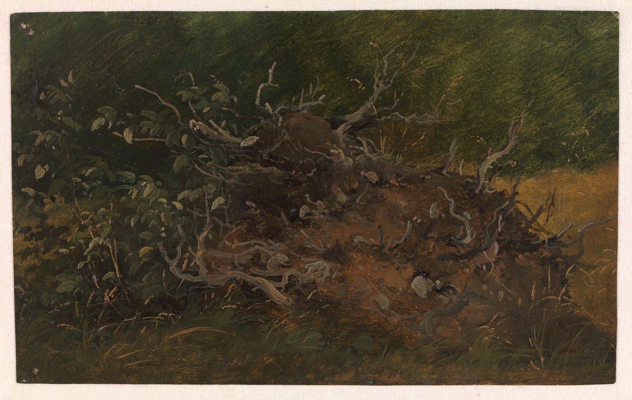 Studie av en trädstubb av Vilhelm Petersen
