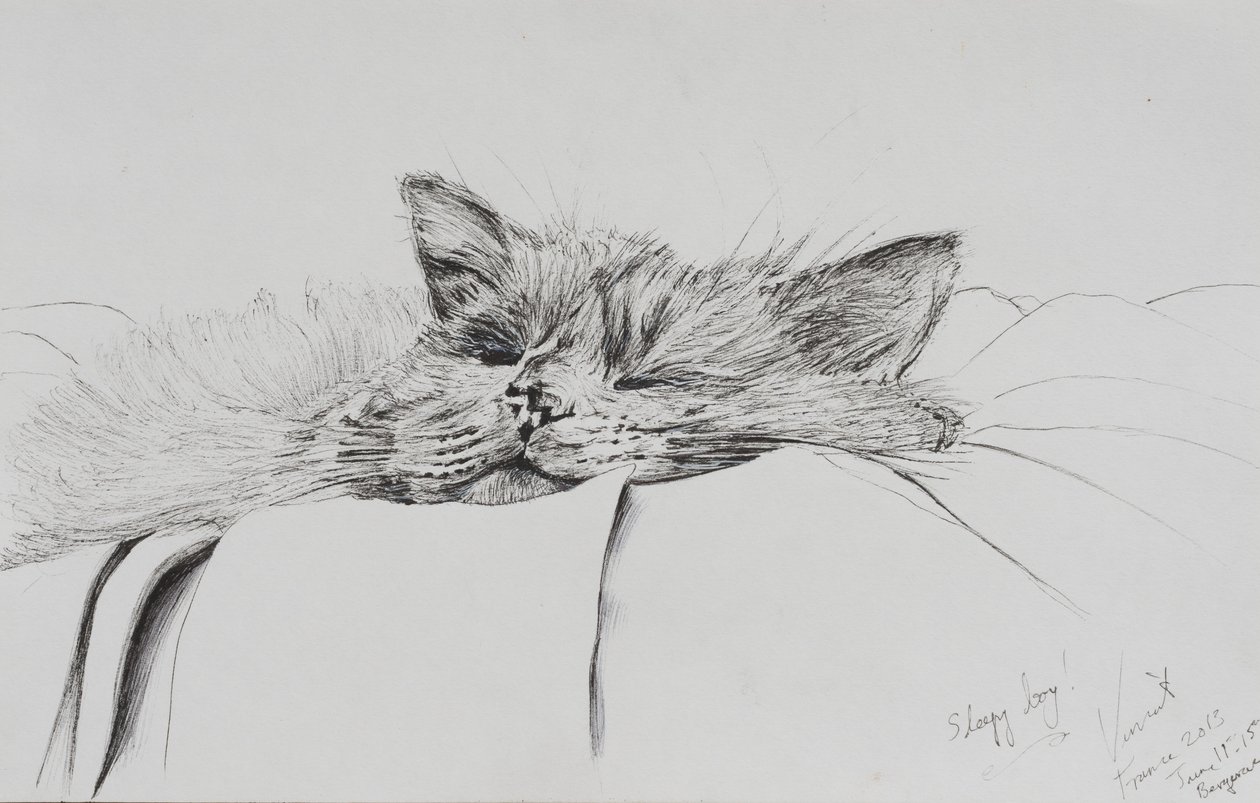 Monty sleepy boy, 2013, (Bläck på papper) av Vincent Alexander Booth