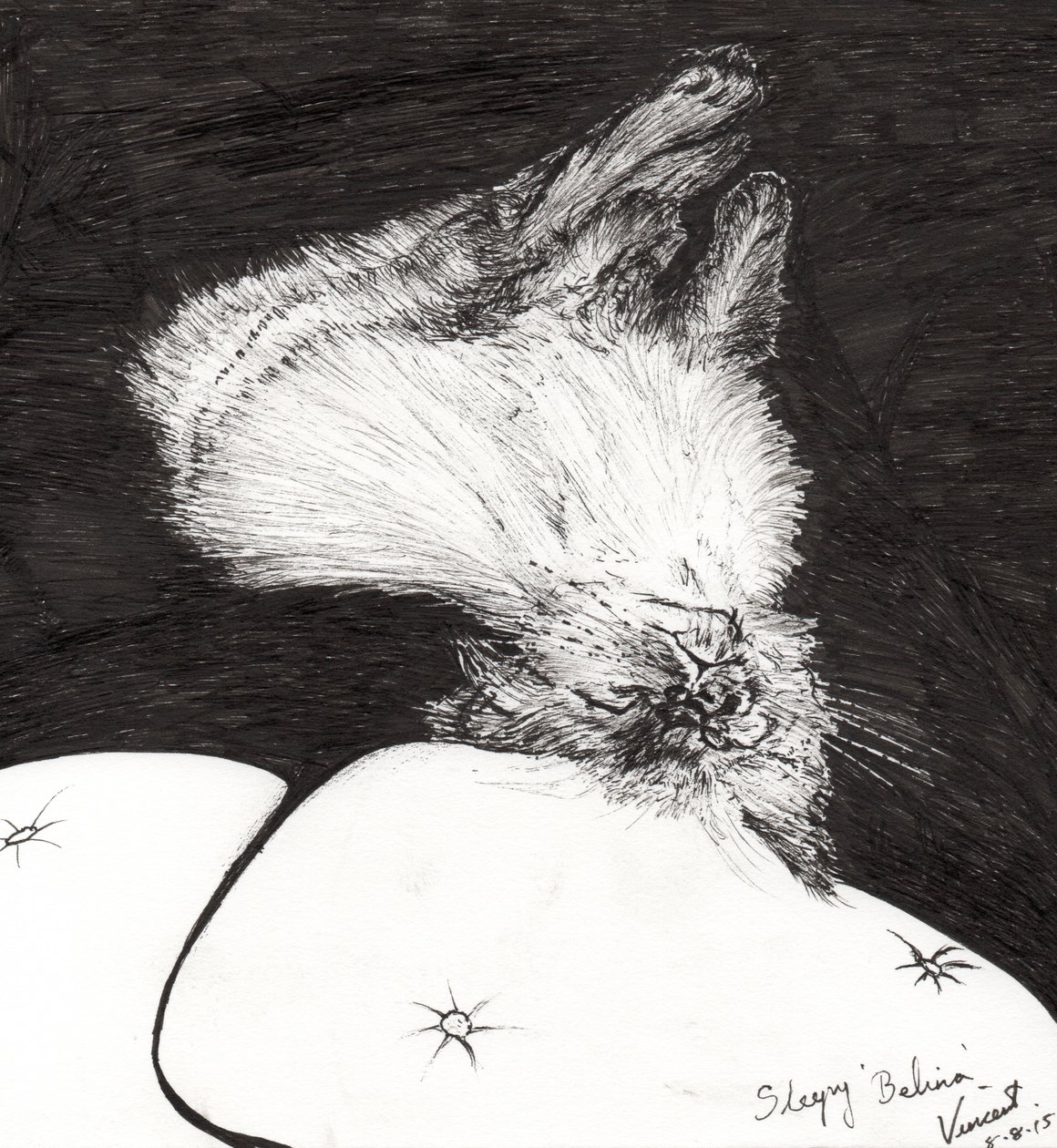 Sleepy Belina, 2015, (bläck på papper) av Vincent Alexander Booth