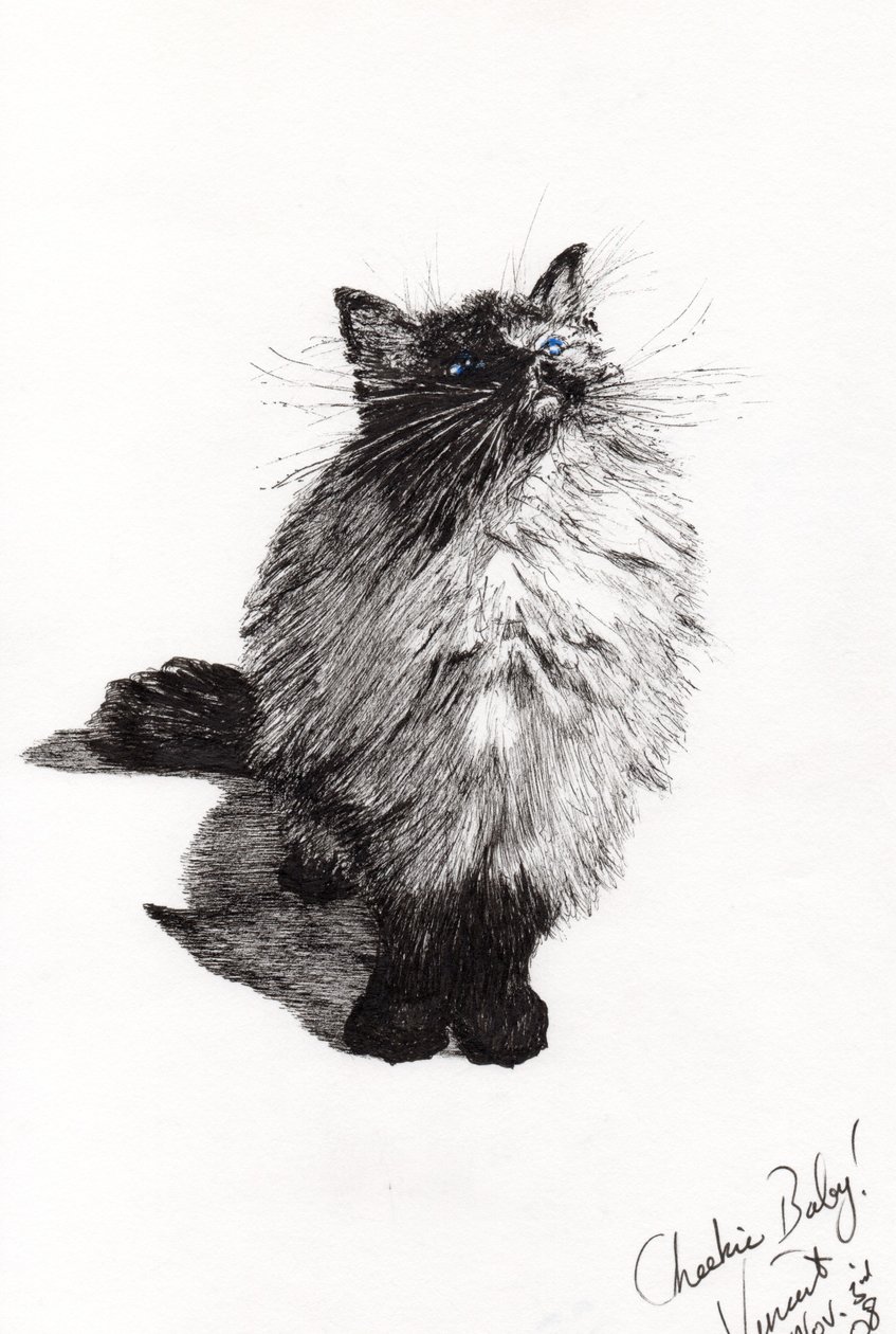 cheekie baby, 2008, (bläck på papper) av Vincent Alexander Booth
