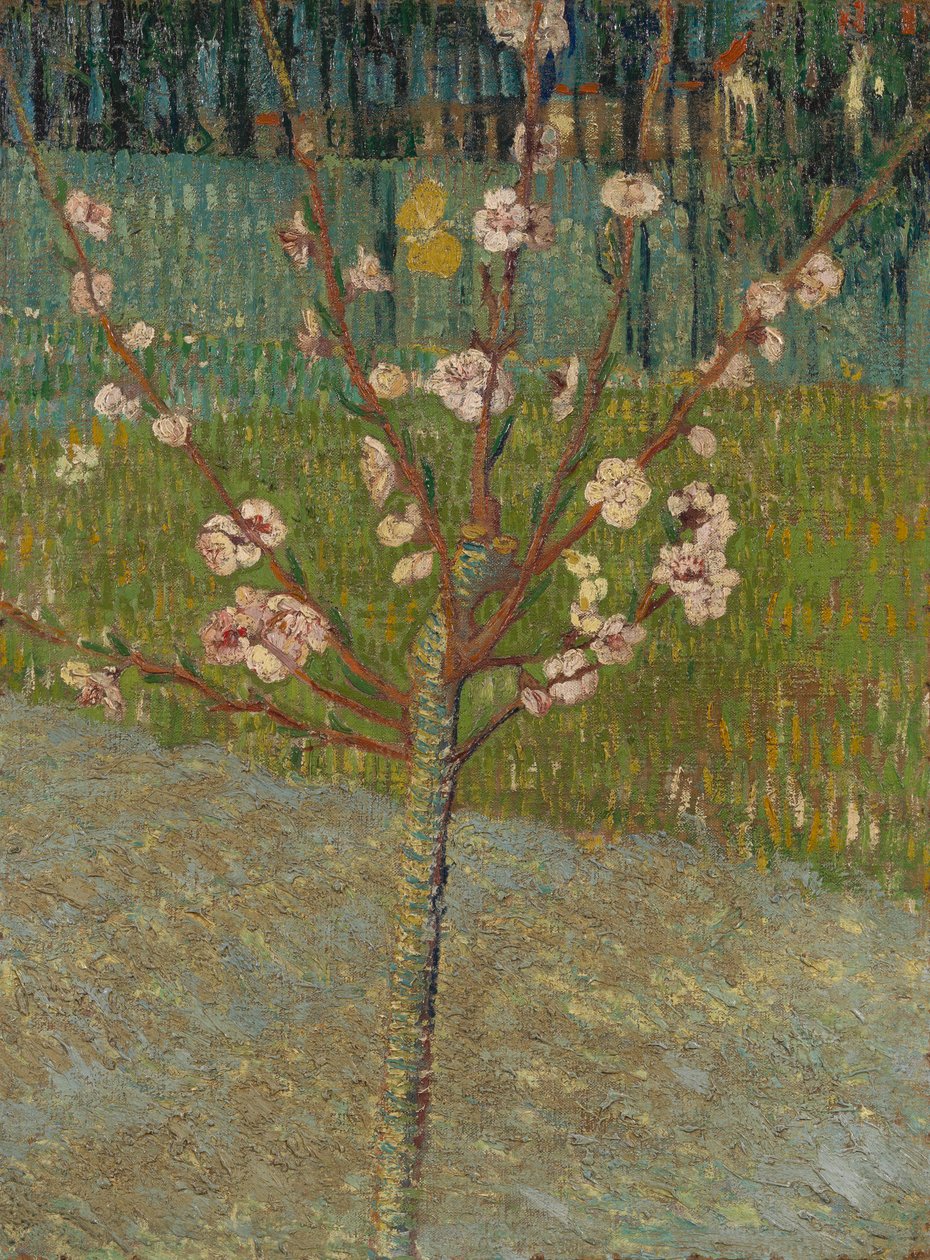 Almond Tree in Blossom av Vincent van Gogh