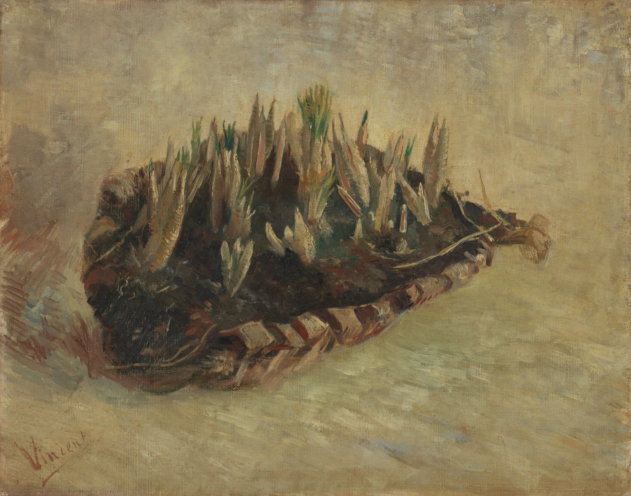 Basket of Crocus Bulbs av Vincent van Gogh