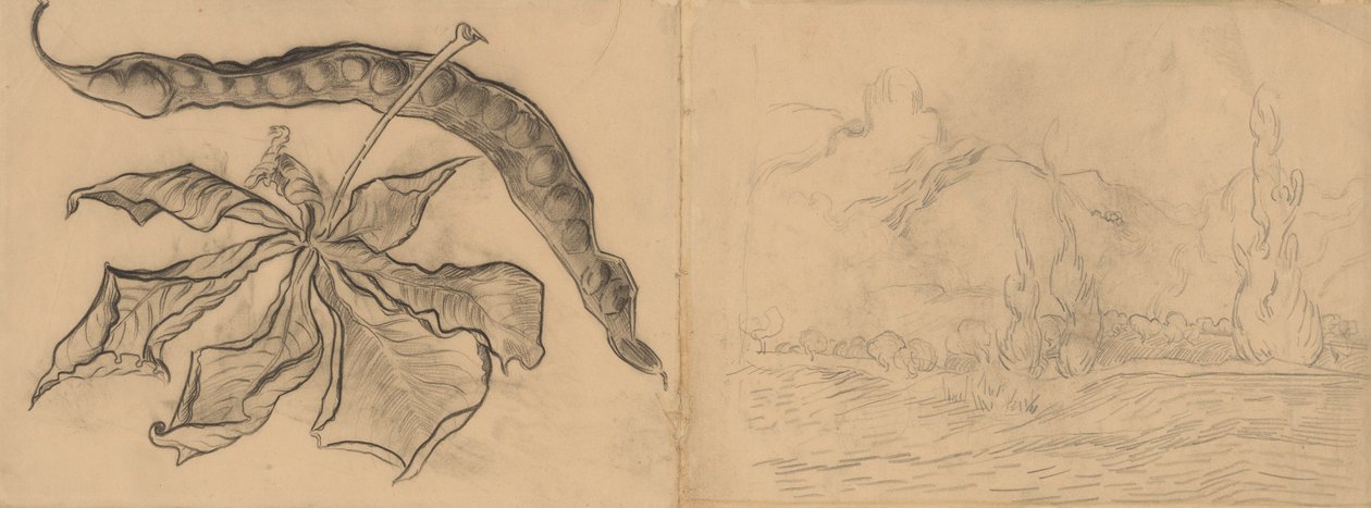 Chestnut Leaf with Pod Landscape with Cypresses av Vincent van Gogh