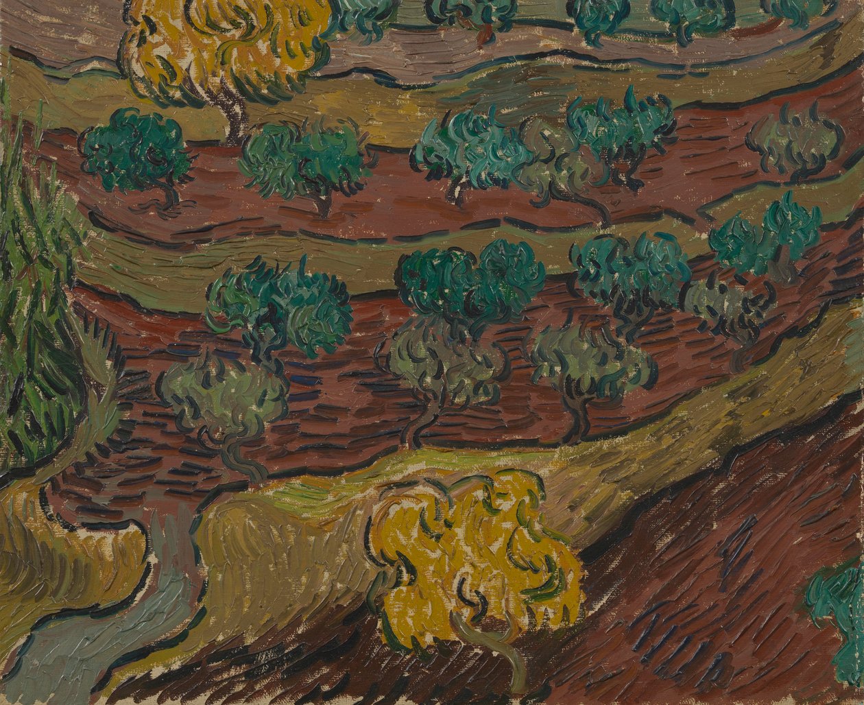 Olive Trees on a Hillside av Vincent van Gogh