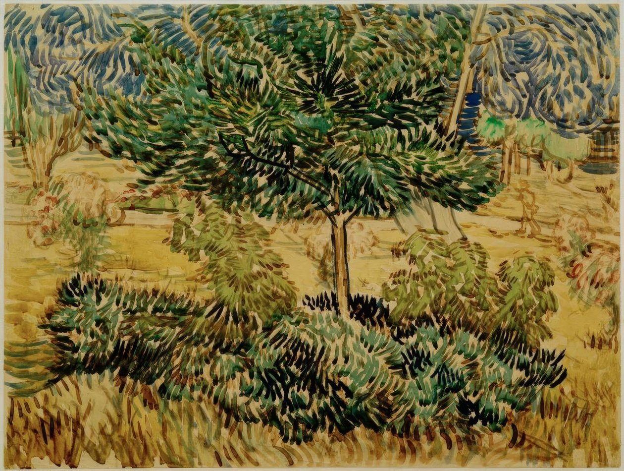 Träd och buskar i trädgården på sanatoriet av Vincent van Gogh