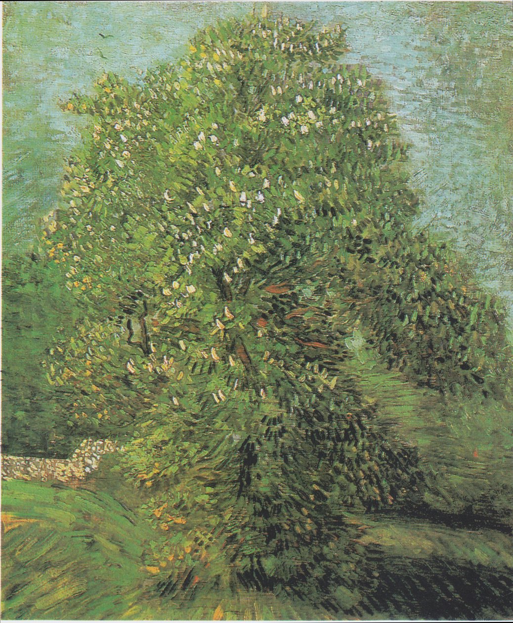 Blommande kastanjeträd av Vincent van Gogh