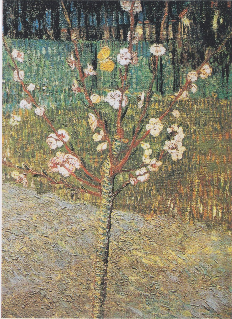 Blommande mandelträd av Vincent van Gogh