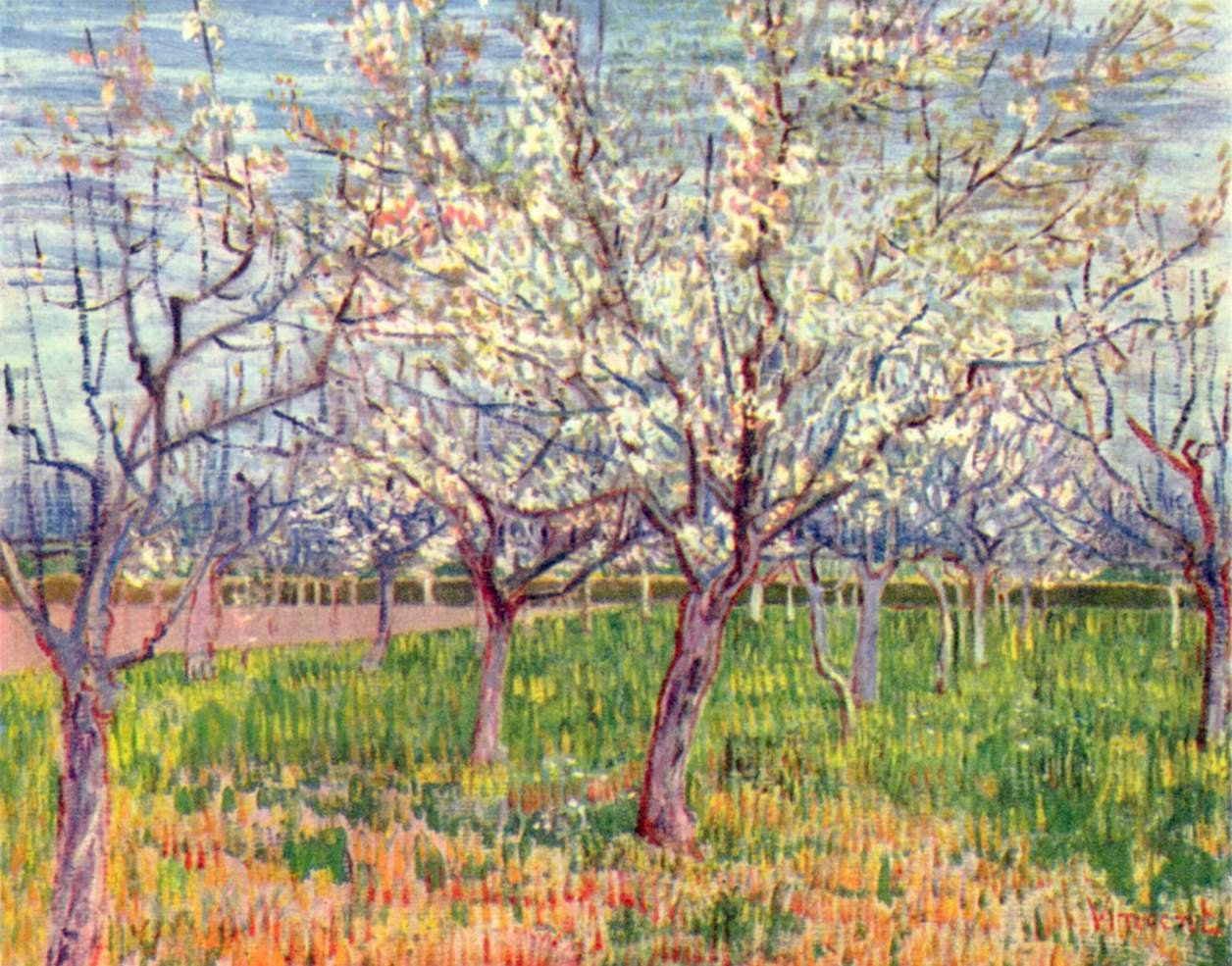 Blühender Obstgarten av Vincent van Gogh