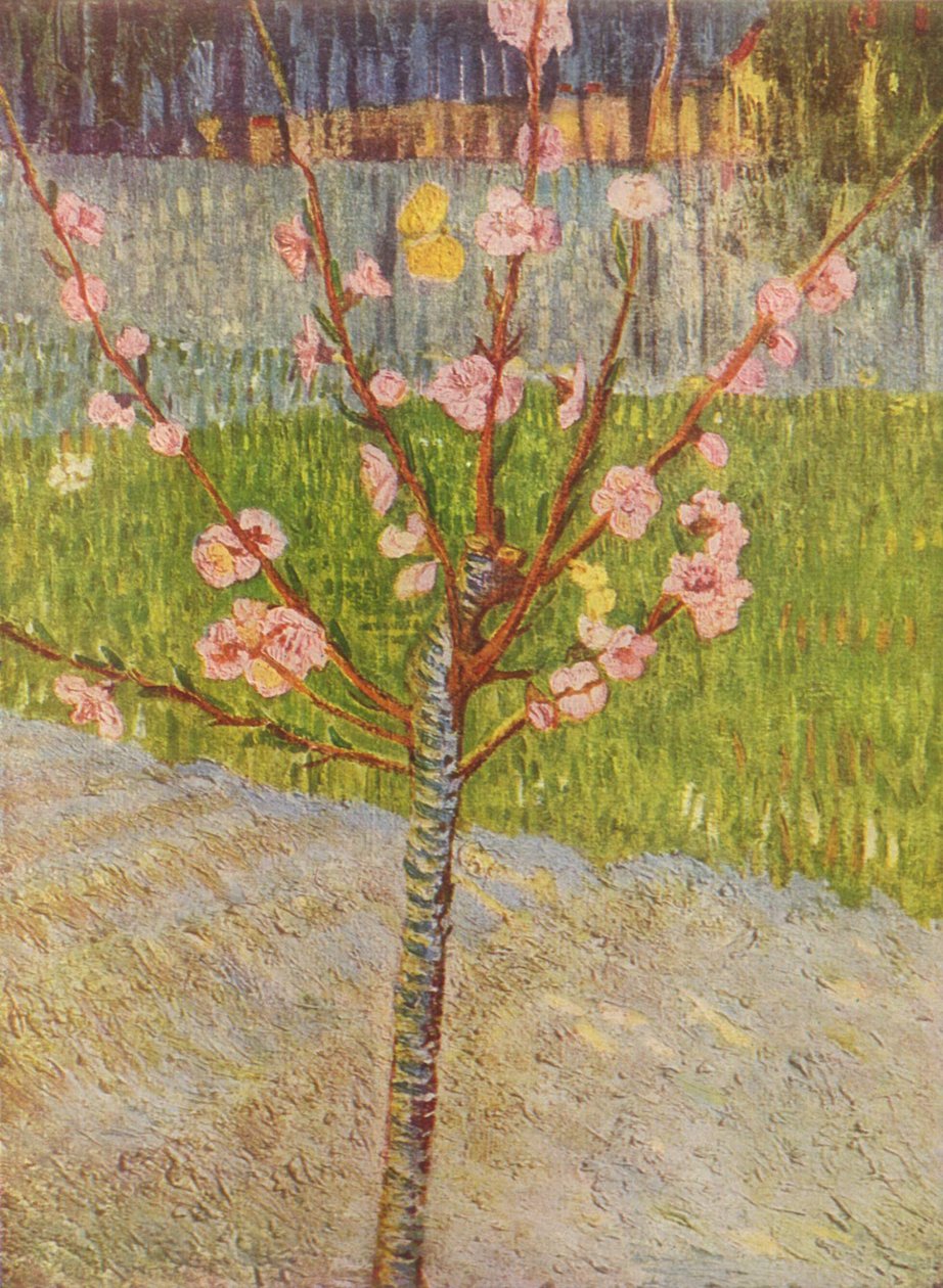 Boulevard de Clichy av Vincent van Gogh