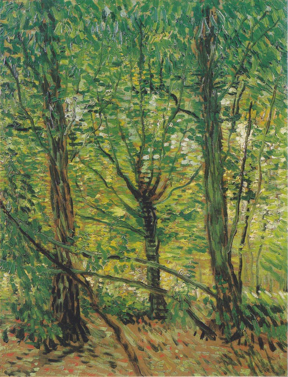 Bäume und Unterholz av Vincent van Gogh