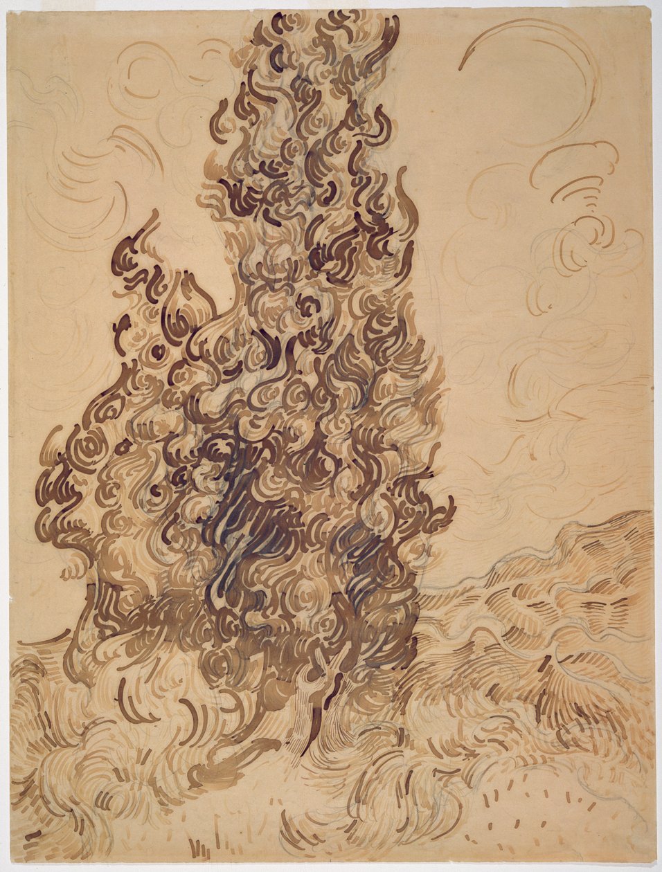 Cypresser, 1889 (rörpenna, grafit, fjäderpenna och brunt och svart bläck på papper) av Vincent van Gogh