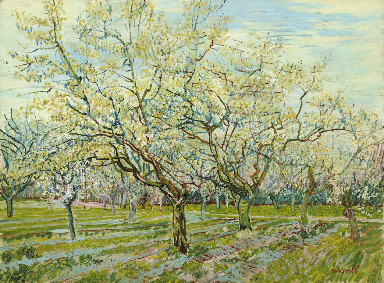 Den vita fruktträdgården av Vincent van Gogh