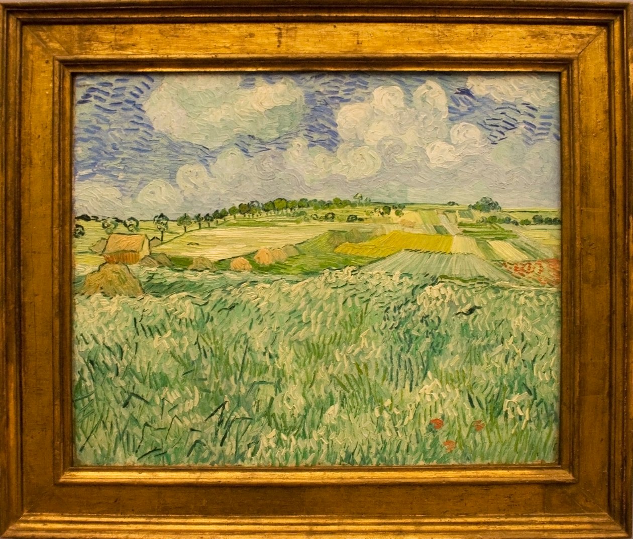 Ebene bei Auvers av Vincent van Gogh